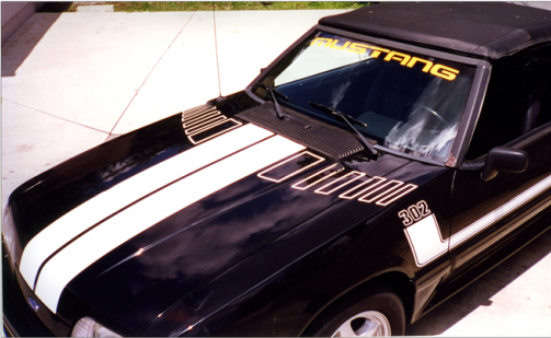 1979-93 Mustang L-Side Stripe and Hood Stripe Kit - 302 Designation